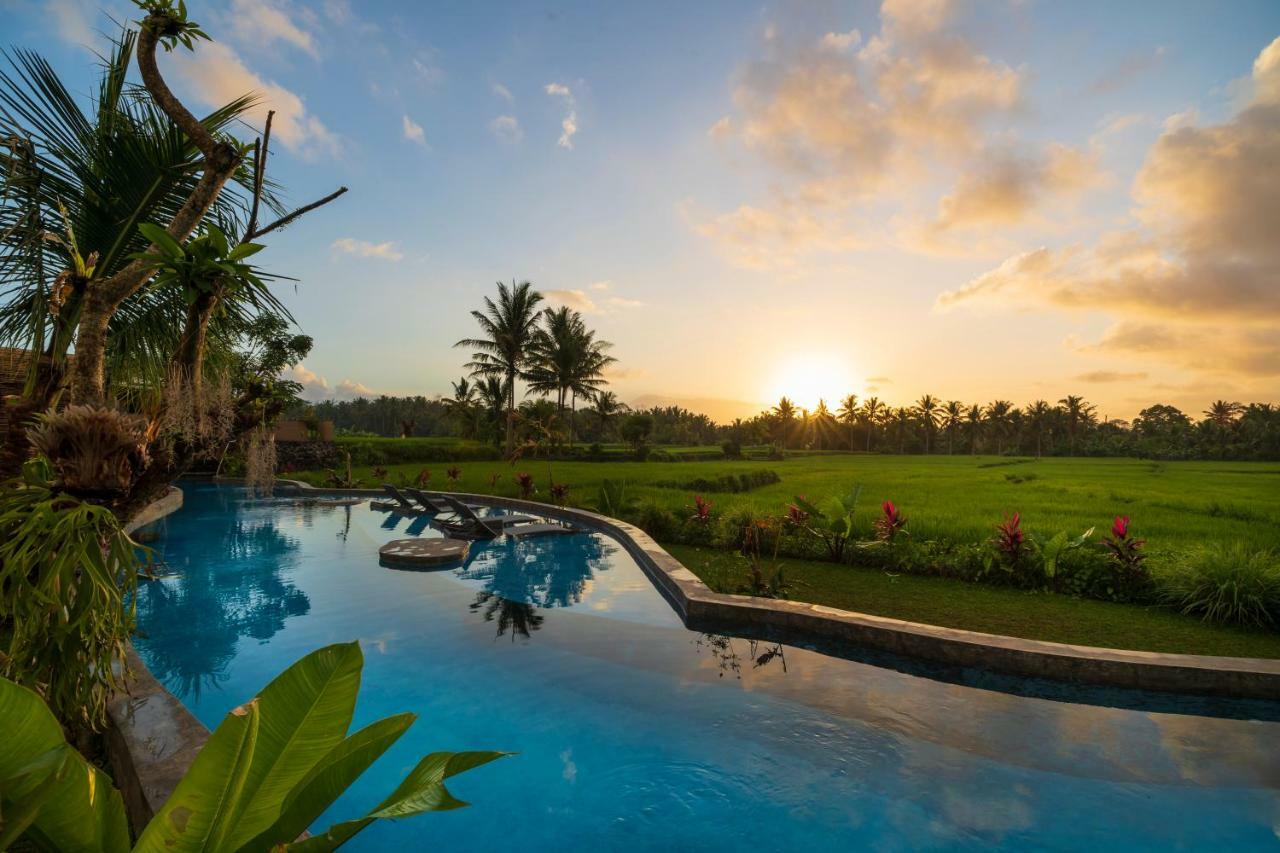 Beehouse Dijiwa Ubud Exterior photo
