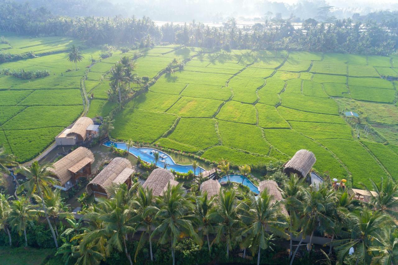Beehouse Dijiwa Ubud Exterior photo
